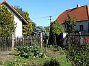 Třibřichy